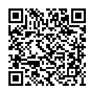 这个人的攻击就仿若触动了林锐身体里的某根弦二维码生成