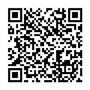 这个人的确在料理花木上很厉害……若是英年早逝二维码生成