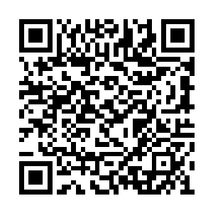 这个人类强者果真与一般的人类强者有些不一样二维码生成