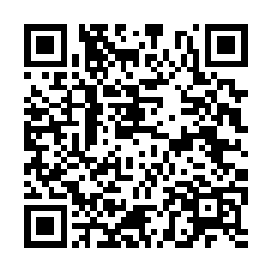 这个人类没有拿出那把刀竟然还会有这么强的爆发二维码生成