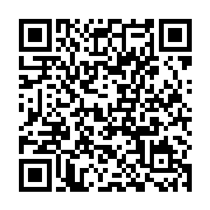 这个人类的身体之中竟然仿佛拥有着一股莫名吸力一样二维码生成