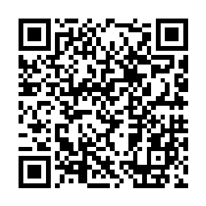 这个人身上的气息竟然已经达到了脱胎初期的境界二维码生成