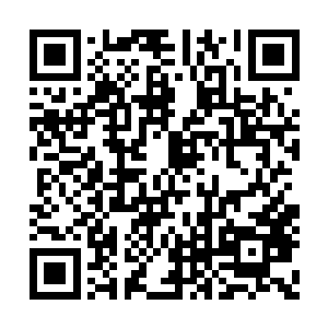 这个人身体的各方面的机能是呈几何倍数增长的二维码生成