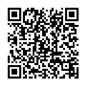 这个仅仅以b级之躯调戏了芬里尔结果好运气活下来的家伙二维码生成