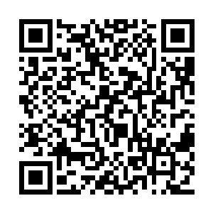 这个从进入大陆后便一次次震惊大陆的传奇少女二维码生成