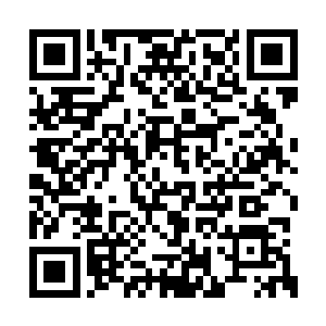 这个仙器每次释放的威能也就是天尊初期的威能二维码生成