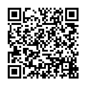 这个代号就真的在高层通缉名单上挂到了前几号二维码生成