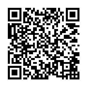 这个位于岛上高处的总督府已经很难适应他们的要求二维码生成