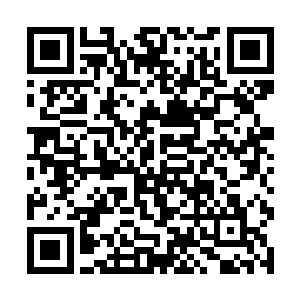 这个体系是老太太原来教授的龟息功中所没有的内容二维码生成