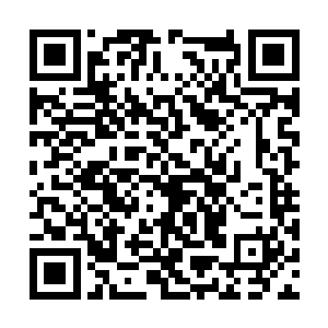 这个佣兵团队押送的货物是十枚修罗之塔的资格牌二维码生成