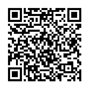 这个倒是让一直关注这件事情的赛提尔霍利恩两个人二维码生成