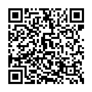 这个倡议在数个月前就被提到东圣阁的日程之中二维码生成