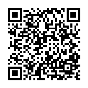 这个傀儡最低相当于结丹期第十二层后期巅峰的修士了二维码生成