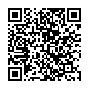 这个傀儡的实力可是比之前的时候龙傲天炼制的要恐怖的多二维码生成