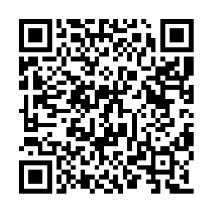 这个傻小子不会在这么重要的日子里睡过头了吧二维码生成