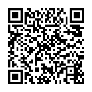 这个兽王大战就是直接在固定的场地里进行较量二维码生成