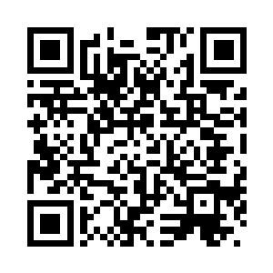 这个册子的材质竟然是用龙鳞制成二维码生成