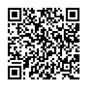 这个冷轩所拥有的势力绝对不是他们齐家可以对付的二维码生成