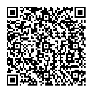 这个刚刚来燕京时脸带羞意一经调戏就满脸通红跑着离开的小家伙竟然有了撼动秦纵横的能量二维码生成