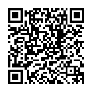 这个前几日还将希望寄托在轩辕离歌身上的西凉储君二维码生成