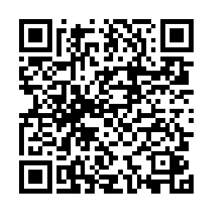 这个剑鞘归还它的本源之后有些承受不住里面透出的力量二维码生成