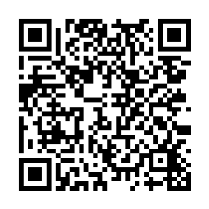 这个剧本果然不简单……这实验室里竞然还有入类二维码生成