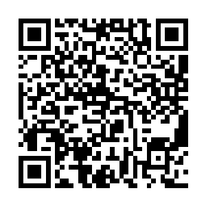 这个动作倒是让坐下来的女孩子略显意外的看了两眼二维码生成