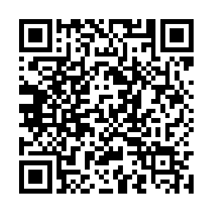 这个动作本不应该发生在德高望重的南宫族长身上二维码生成