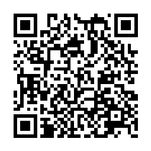 这个华人富翁早就成为肉票被掳回自己的地盘了二维码生成