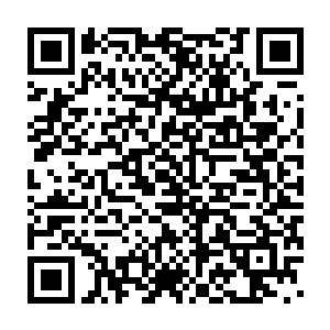 这个协会的成员都是京城餐饮界各大领域的一些大佬和资深的大厨二维码生成