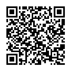 这个参与到的会议究竟会是一个什么样子的状况二维码生成