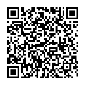 这个参赛者的话瞬间让所有人将目光转移到了早就被冷落的肯特身上二维码生成
