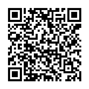 这个变化一个是说明堡主大人当时洒下的肥料太多了二维码生成