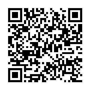 这个口子对于这些巨大的老鼠来说只是一道小口子二维码生成