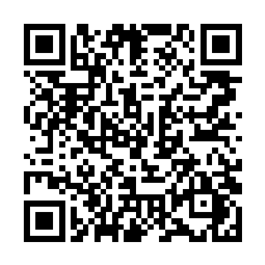 这个古堡却入住了一个人……一个黑发黑瞳的龙国人二维码生成