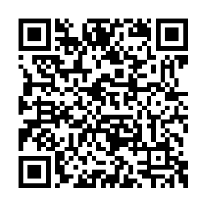 这个只有芝麻大小的虫子正在撕咬着病人的血管二维码生成