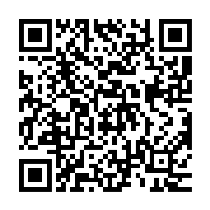 这个只要看看九幽冥土可以将无数多的冥兽慢慢渗透改造为冥兽二维码生成