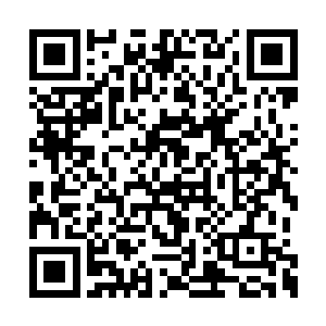 这个叫做郝帅的警察对于莫凡就不再那么客气了二维码生成