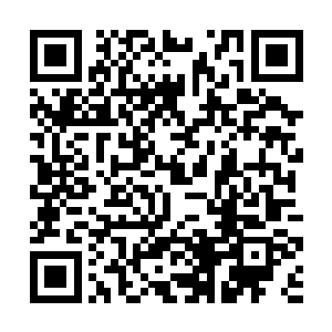 这个叫做雷吉的巫师已经把他知道的全部告诉了马文二维码生成