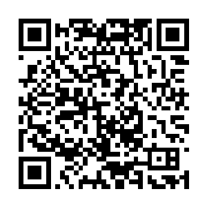 这个叫绮莉的死女人竟然要让自己在试炼中打光棍二维码生成