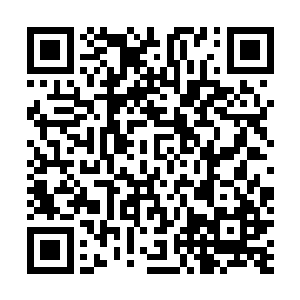这个可是自己从当土匪的时候就开始跟随着自己的死党啊二维码生成