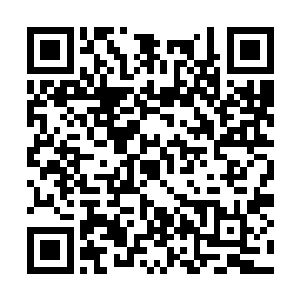 这个可能也是因为自己稍微的有那么一些敏感了吧二维码生成