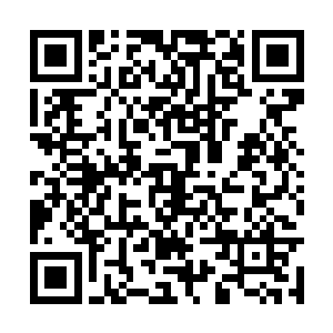 这个可能也是跟丁羽并没有透露出来相关的讯息呢二维码生成