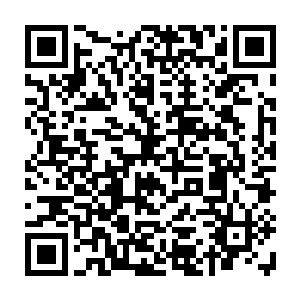 这个史提夫很有可能是在某次祭祀或者祈祷上面令风暴女神感到非常愉悦二维码生成