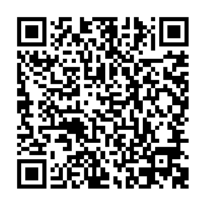 这个吸收的速度比起刚开始龙傲天在外面的时候的速度要快上数十倍不止二维码生成