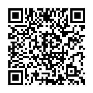 这个嗜血学院的人恐怕是要栽在这黑骷学院手里二维码生成