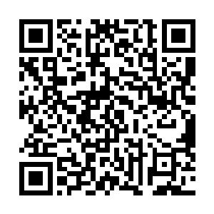 这个回应也是让半躺在沙发上面的莎莎不由的哆嗦了一下二维码生成