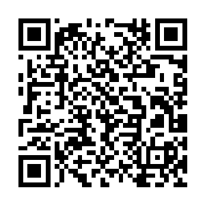 这个在老祖宗死后独力支承担家族命运的坚强女人二维码生成