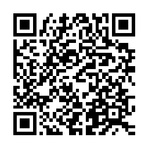 这个在诸天百界最近半年来凶名赫赫的屠夫谁人不知谁人不晓二维码生成
