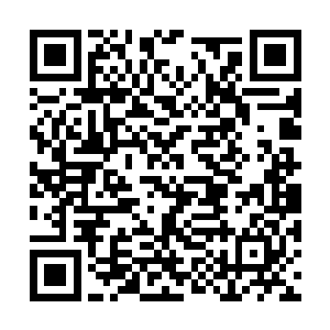 这个地区本身就具备了建设竹木材交易市场的条件二维码生成